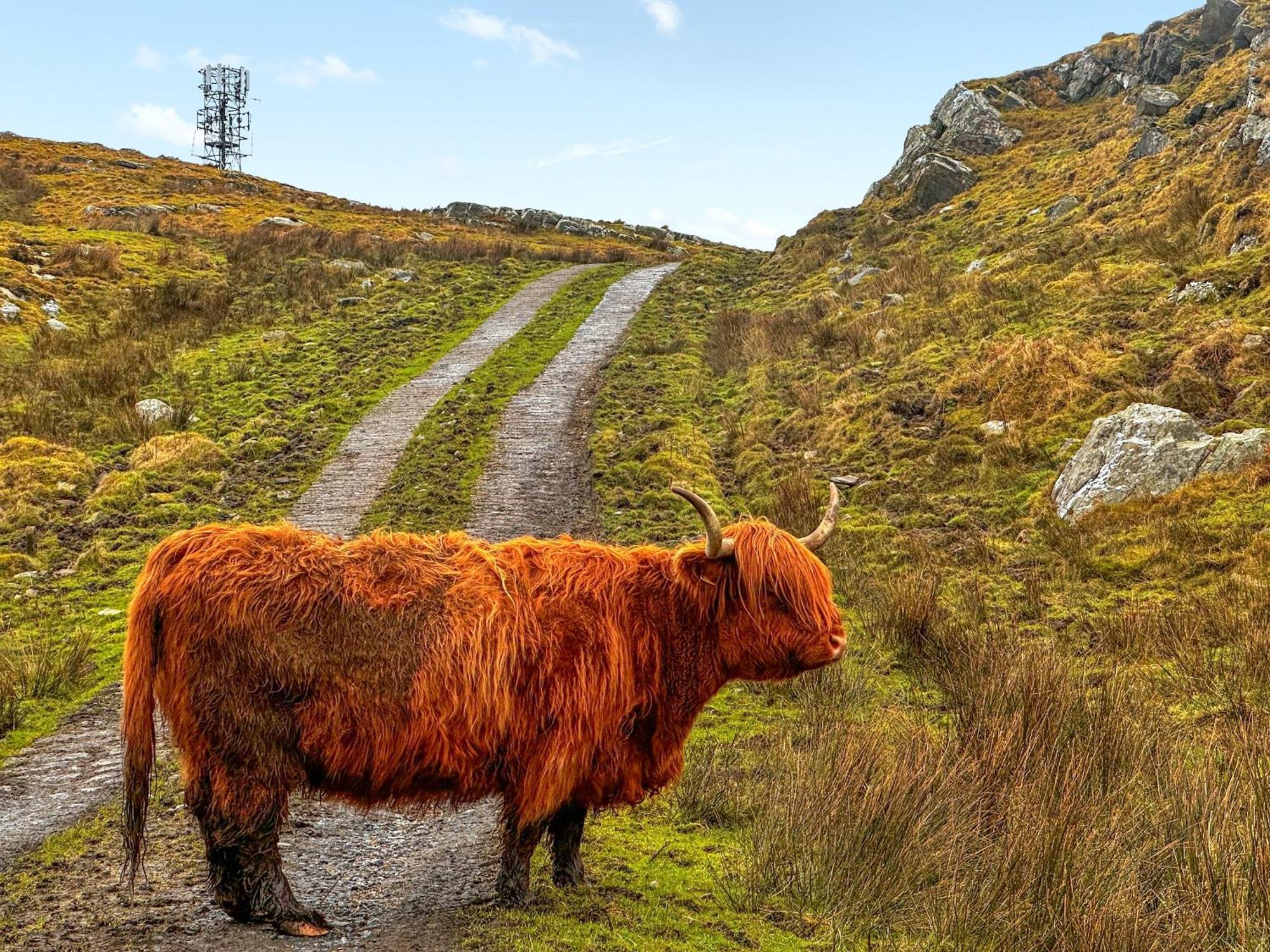 Burnside Cottage Bruichladdich ภายนอก รูปภาพ