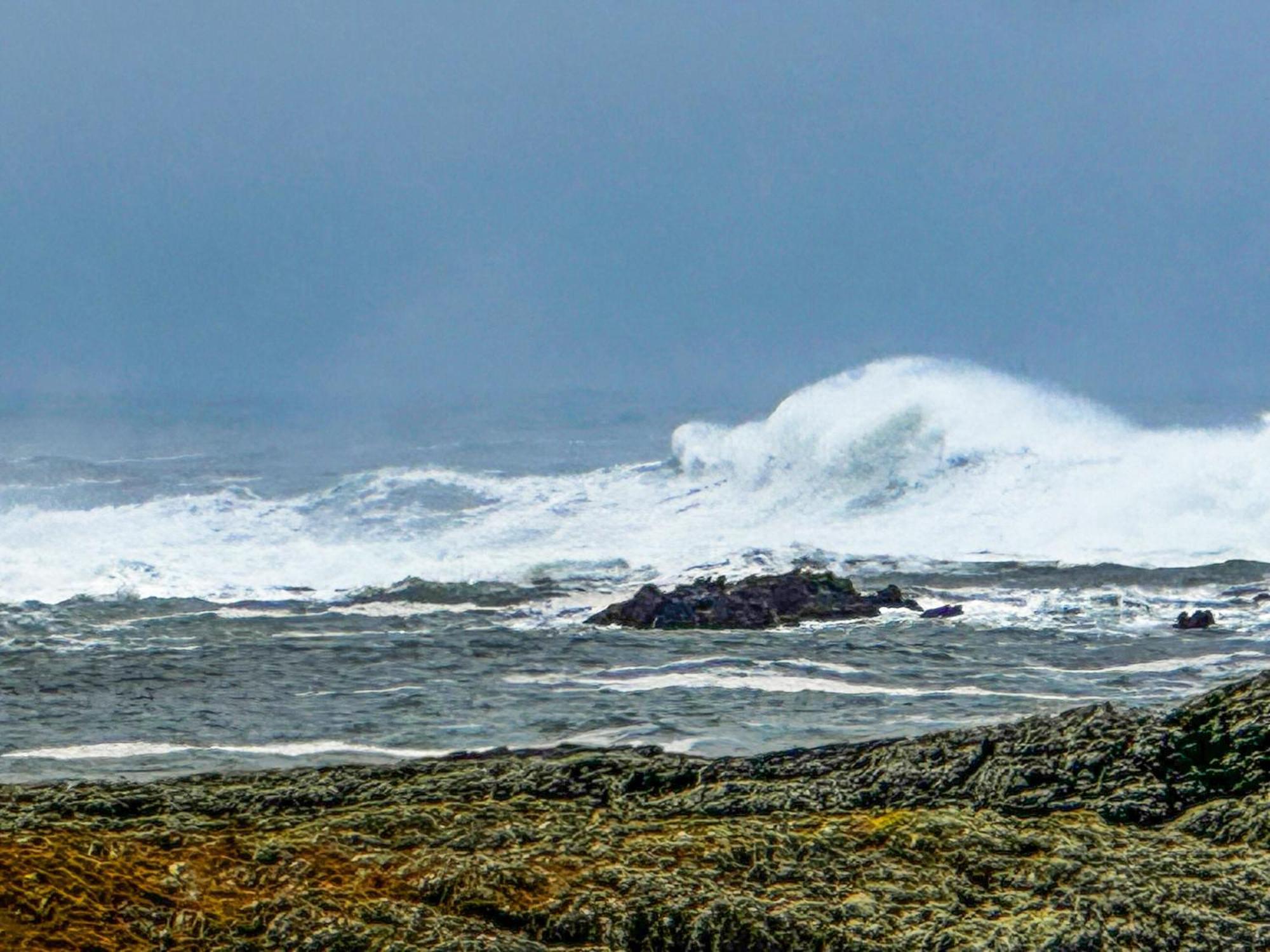 Burnside Cottage Bruichladdich ภายนอก รูปภาพ